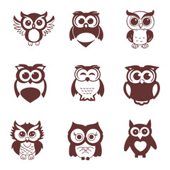 The owl's insight symbol icon symbolizes wisdom and deep insight