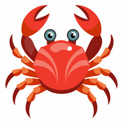 crab isolated on white background