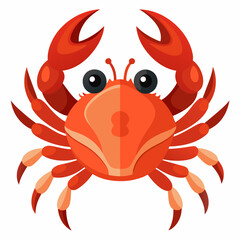 red crab on white