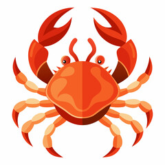 crab isolated on white background