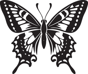 butterfly isolated on white