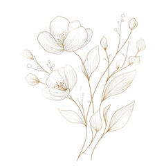Minimalist gold line art of elegant flowers and leaves on transparency background, showcasing sophistication and beauty in simple design. Perfect for modern decor
