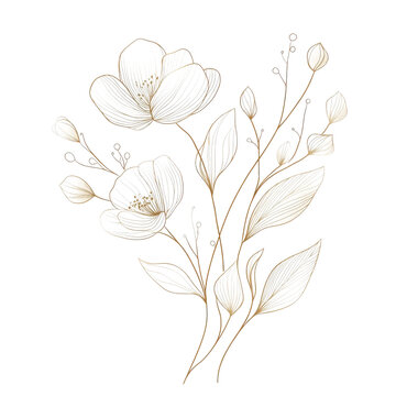 Fototapeta Minimalist gold line art of elegant flowers and leaves on transparency background, showcasing sophistication and beauty in simple design. Perfect for modern decor