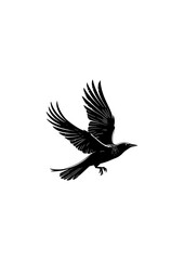 Fototapeta premium Grace in flight a serene silhouette of a flying bird Free Vector.A Chickadee Bird Silhouette Free Vector.black and white illustration of a bird Pro Vector. 