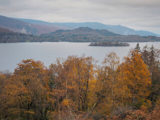 Beautiful orange and gold Autumn colours in the trees overlooking Derwent Water, Lake District, UK