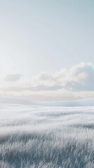 A serene image showcasing the shining brilliance over a white field under a soft blue sky, evoking feelings of tranquility and natural beauty. Perfect for serene landscapes.