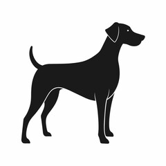 silhouette of a dog