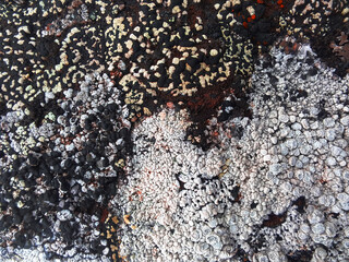 close up of a stone