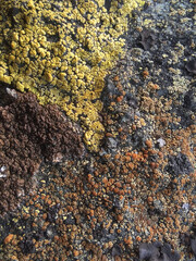 stone wall texture