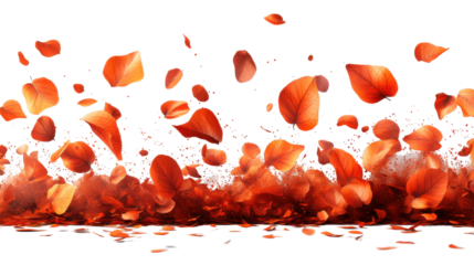 Orange confetti flying isolated on white background 