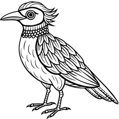 illustration of a bird