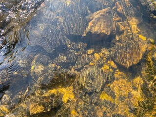 The bottom of very clear flowing water