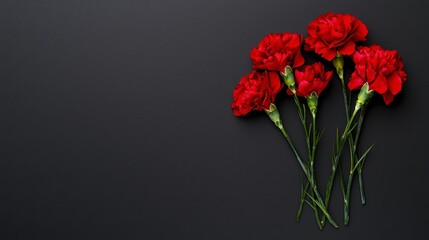 Fototapeta premium Vibrant Red Carnations on a Dark Background Showcasing Their Rich Color and Beautiful Form, Perfect for Floral Arrangement and Design Inspiration