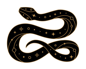 Fototapeta premium Mystical black snake with golden elements. Symbol of Chinese New Year 2025. Vector illustration isolated on transparent background