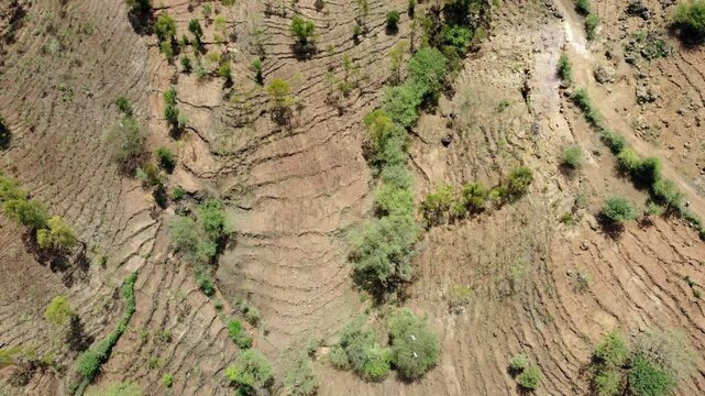 Aerial rising drone shot of the ancient terraced hills of Konso, Ethiopia. The area is a UNESCO world heritage site for the ancient terraces used for farming in an arid area.
