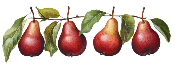 A row of ripe, red pears with green leaves, showcasing their glossy skin and vibrant colors.
