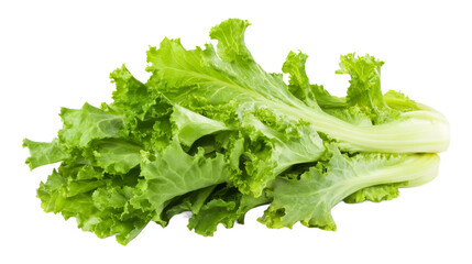 Fresh green lettuce isolated on transparent background, perfect for healthy recipes