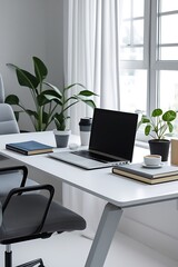 White desk featuring a laptop and a small green plant