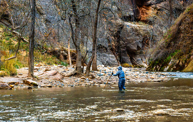 Hiker wading across the North Fork of the Virgin River in Zion National Park