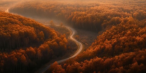 Serpentine road through misty autumn forest at sunrise.
