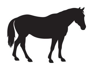 running horse silhouette. Western riding horse vector illustration, isolated on white background 