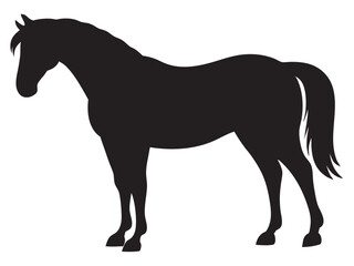 running horse silhouette. Western riding horse vector illustration, isolated on white background 