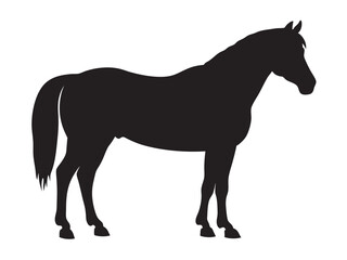 running horse silhouette. Western riding horse vector illustration, isolated on white background 