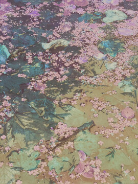view of the river in spring