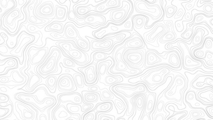 Topographic map background. Geographic abstract patterns grid. 
