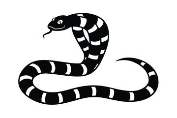 black and white snake