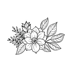 Botanical flower elements bouquet line art