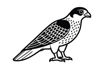 cute-falcon-cartoon