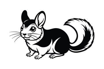 black and white rabbit