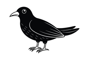 illustration of a bird