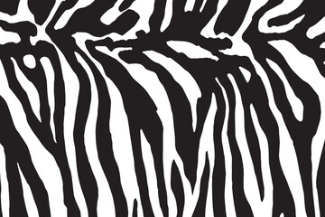 Zebra skin background vector. Animal fur, vector background for Fabric design, wrapping paper, textile, and wallpaper