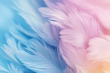 Fototapeta premium Soft Colorful Feathers Background Art Design