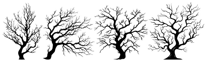 bare tree silhouettes with intricate branches black shape