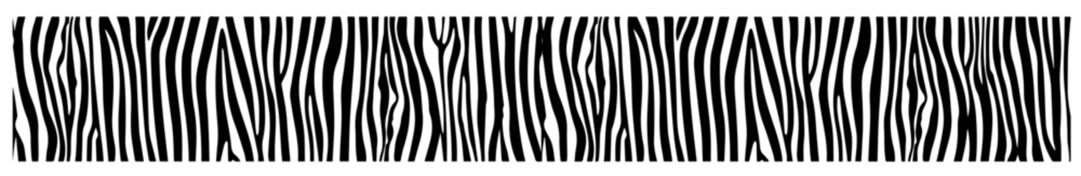zebra stripe pattern texture seamless black and white vector decoration shape 