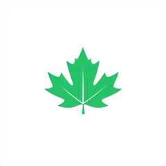 A Simple Green Maple Leaf Design