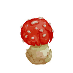 Colorful forest mushroom toadstool red fly agaric.Vector graphics.
