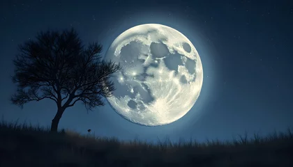 Serene Nightscape: Lone Tree Silhouetted Against a Majestic Full Moon
