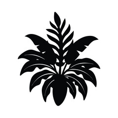 illustration of a plant