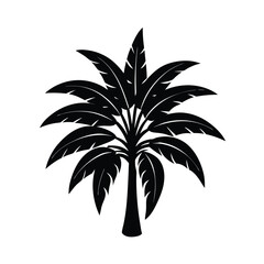 palm tree isolated on white