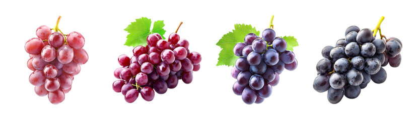 Fototapeta premium Fresh Red Pink Purple Black Grapes Bunch Fruit Food Harvest