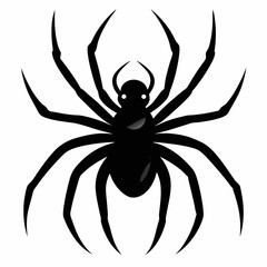 Spider vector silhouette black design white background