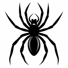 Spider vector silhouette black design white background