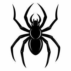 Spider vector silhouette black design white background