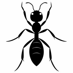 Ant vector silhouette black design white background
