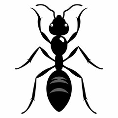 Ant vector silhouette black design white background