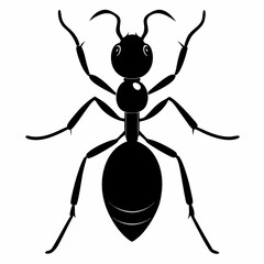 Ant vector silhouette black design white background